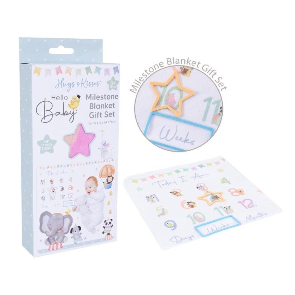 Milestone Blanket